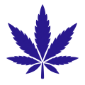 cannabis